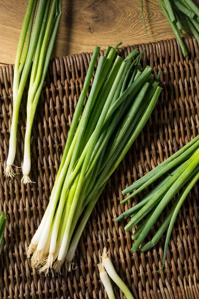 Cebollas Verdes Orgánicas Crudas Listas Para Picar —  Fotos de Stock