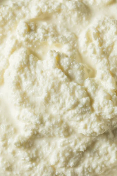 ボウルに健康的な有機リコッタチーズ — ストック写真
