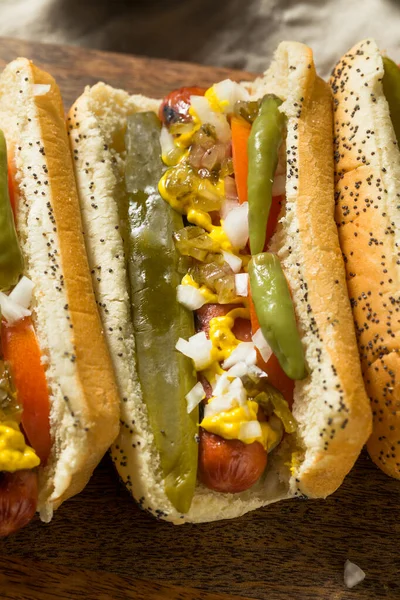 自制的芝加哥式热狗 配芥末味洋葱和Pickle — 图库照片