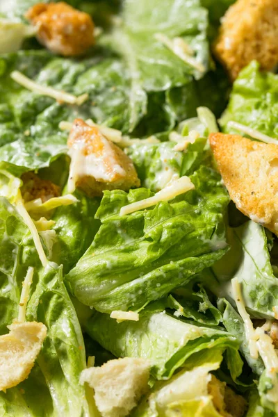 Zelfgemaakte Gezonde Romaine Caesar Salade Met Kleding Croutons — Stockfoto