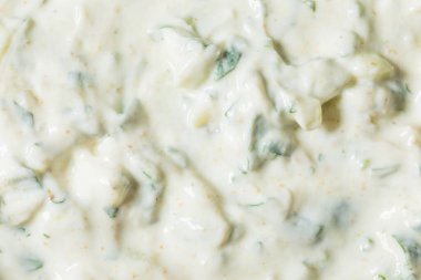 Ev yapımı sağlıklı Hint Raita Sosu Yoğurt Cilantro ve Salatalıklı