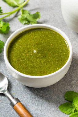 Organik, sağlıklı Hint Nane Şekeri, acı biberli Chutney.