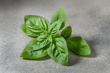 Organik Çiğ Yeşil Basil Birlikte Pişirmeye Hazır Yapraklar