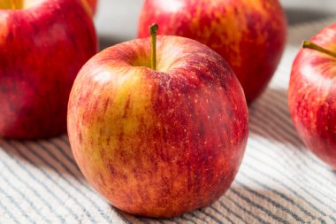 Organik Çiğ Kırmızı Kıskanç Elmalar Sonbaharda Yemeye Hazır