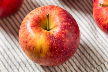 Organik Çiğ Kırmızı Kıskanç Elmalar Sonbaharda Yemeye Hazır