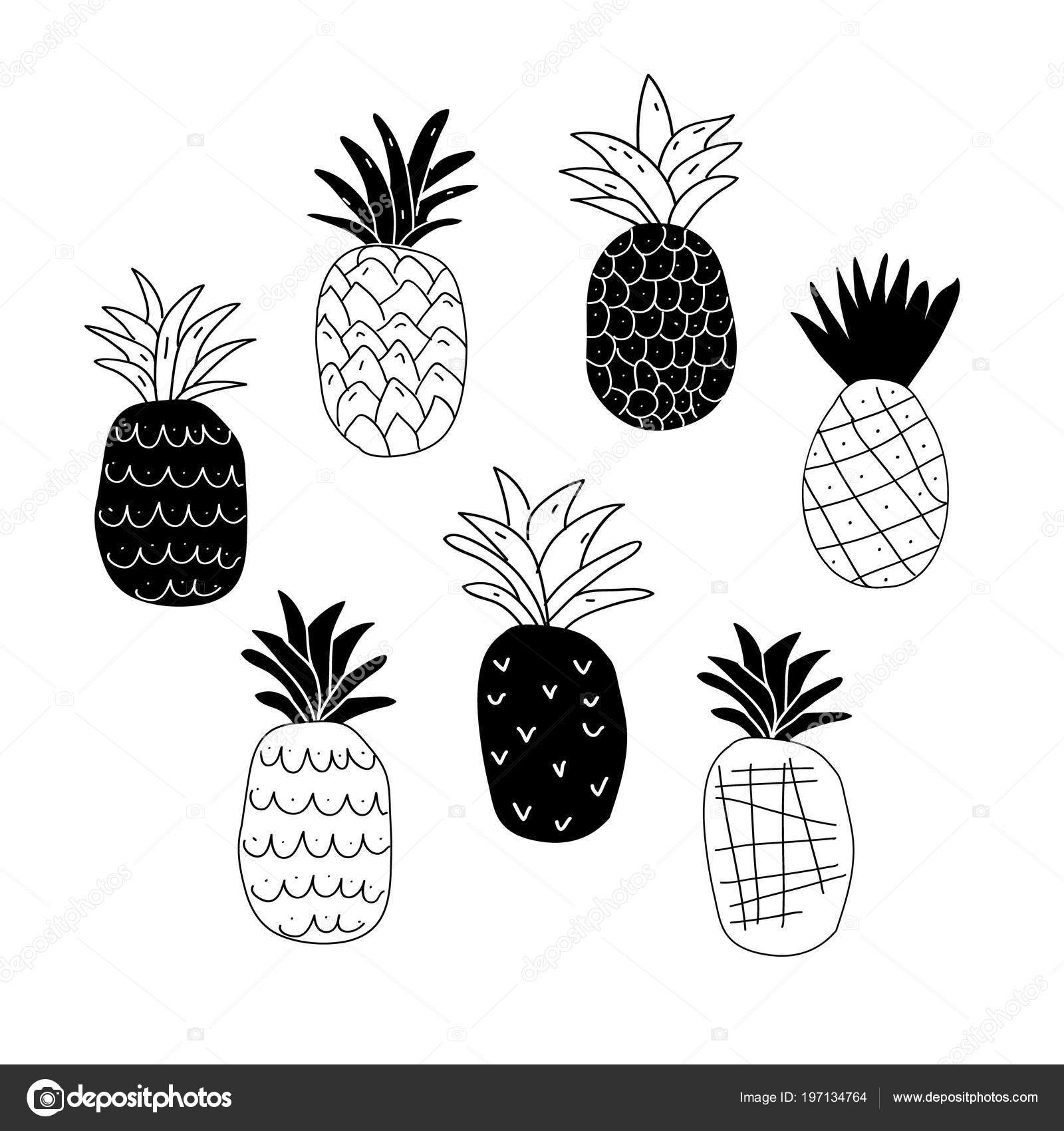 huurling betekenis Ochtend gymnastiek Set van zwart en wit abstracte ananas vectorafbeelding door © tvovchek ⬇  Vectorstock #197134764