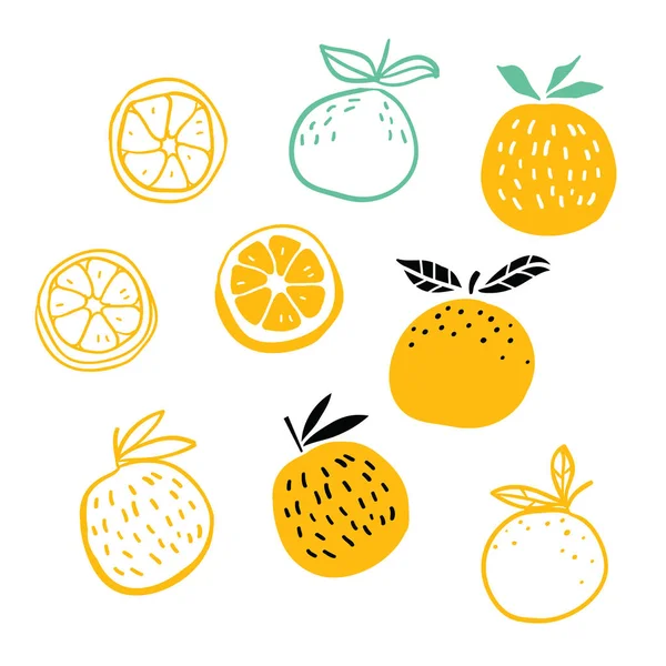 Portakal meyveler vektör çizim seti — Stok Vektör