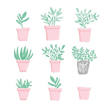 Vektör çizim saksı çiçekleri