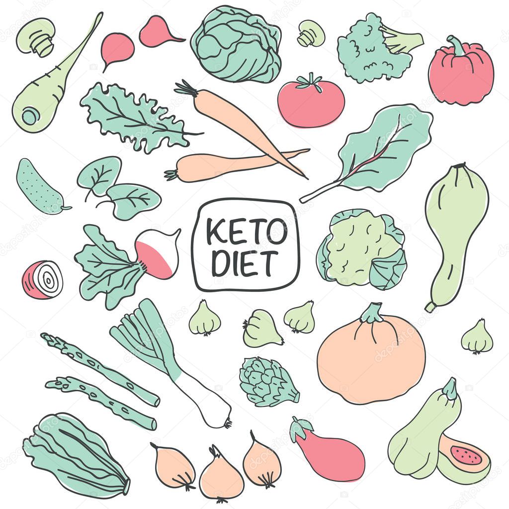 Healthy keto food vector illustration on white