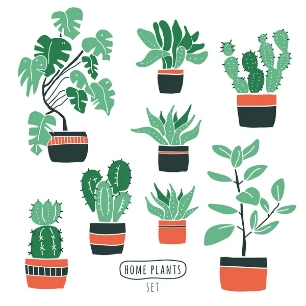 Conjunto de flores lindas en floreros. plantas de casa — Vector de stock