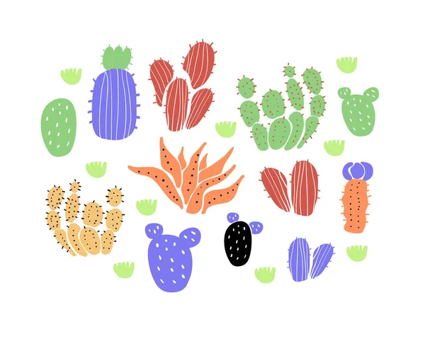 Ensemble vectoriel de cactus, succulents, scandinaves — Image vectorielle