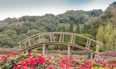 Ahşap köprü Tayland yağmur ormanlarında