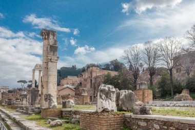 Roma Forumu farklı bir görünümü