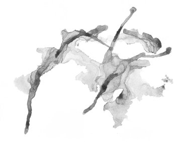 Beyaz bir arka plan üzerinde izole gri suluboya nokta. Güzel suluboya tasarım öğesi. Arka plan. 