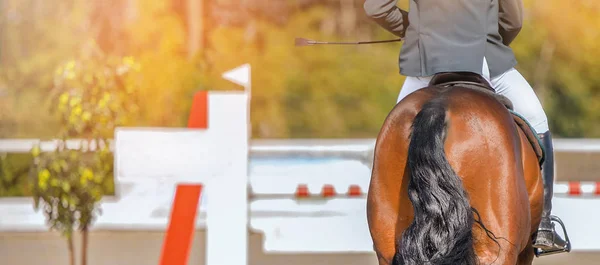 Horse horizontal banner for website header design. Rider in uniform perfoming jump at show jumping competition. Blur sunlight green trees as background.