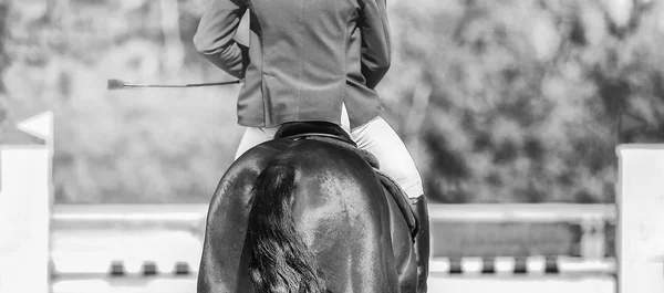 Horse horizontal black and white banner for website header, poster, wallpaper, monochrome design. Rider in uniform perfoming jump at show jumping competition. Blur sunlight trees as background.