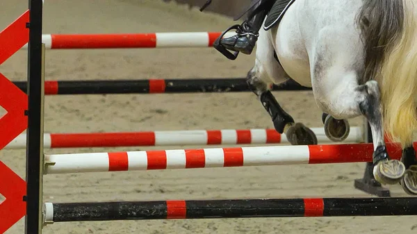 Horse horizontal banner for website header, poster, wallpaper. Rider in uniform perfoming jump at show jumping competition. Riding hall and hurdle as a background.