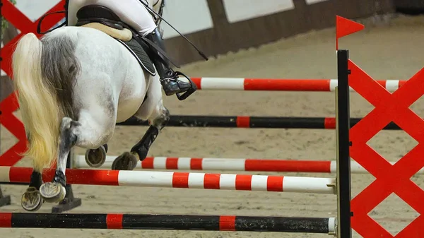 Horse horizontal banner for website header, poster, wallpaper. Rider in uniform perfoming jump at show jumping competition. Riding hall and hurdle as a background.