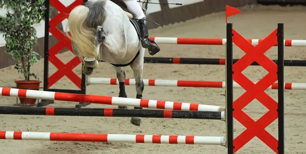 Horse horizontal banner for website header, poster, wallpaper. Rider in red and white uniform perfoming jump at show jumping competition. Horse drops a bar. Riding hall and obstacle as a background.