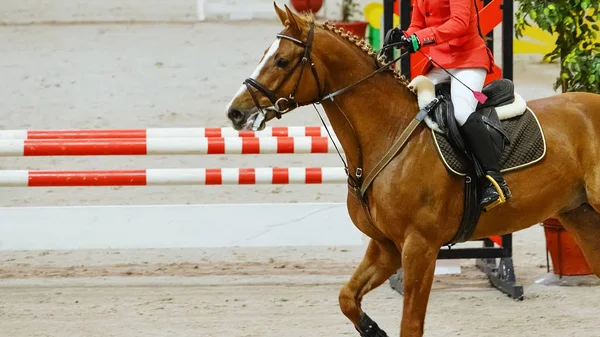 Horse horizontal banner for website header, poster, wallpaper. Rider in red and white uniform perfoming jump at show jumping competition. Riding hall and hurdle as a background.