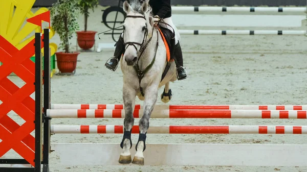 Horse horizontal banner for website header, poster, wallpaper. Rider in uniform perfoming jump at show jumping competition. Riding hall and hurdle as a background.