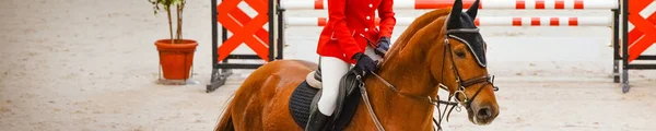 Horse horizontal banner for website header, poster, wallpaper. Rider in red and white uniform perfoming jump at show jumping competition. Riding hall and hurdle as a background.