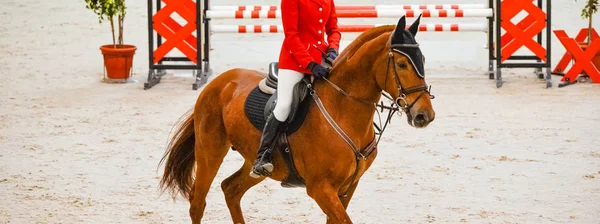 Horse horizontal banner for website header, poster, wallpaper. Rider in red and white uniform perfoming jump at show jumping competition. Riding hall and hurdle as a background.