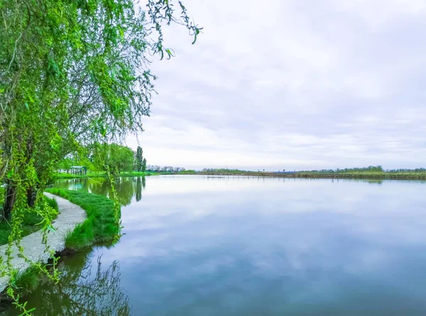 Nature with a lake. Spring time place for relax. Rustic summer landscape. Lake, gazebo, forest.