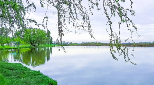 Nature with a lake. Spring time place for relax. Rustic summer landscape. Lake, gazebo, forest.