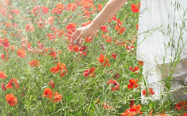 Beautiful girl in poppy field. Young pretty woman in white dress picking flowers, summer time, sunset, lit evening or morning sun. Horizontal banner for website design, copy space.