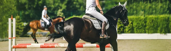 Horse and rider in uniform performing jump at show jumping competition. Horse horizontal banner for website header design. Equestrian sport background. Selective focus.