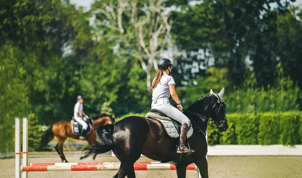 Horse and rider in uniform performing jump at show jumping competition. Horse horizontal banner for website header design. Equestrian sport background. Selective focus.