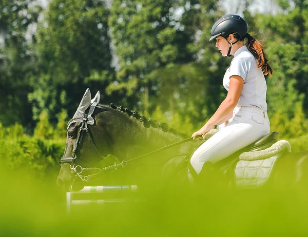 Horse and rider in uniform performing jump at show jumping competition. Horse horizontal banner for website header design. Equestrian sport background. Selective focus.