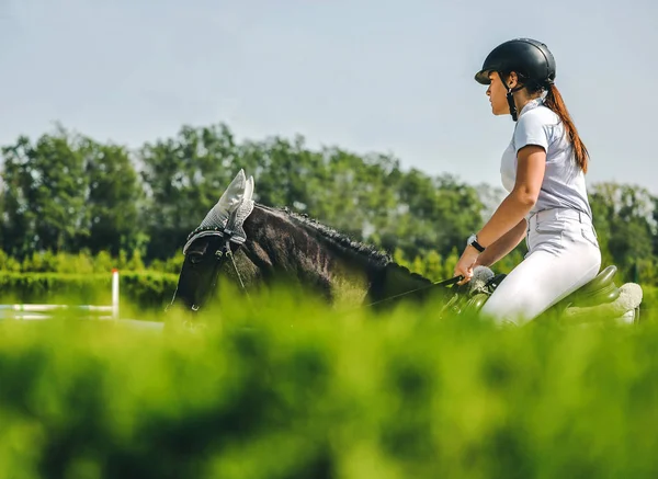 Horse and rider in uniform performing jump at show jumping competition. Horse horizontal banner for website header design. Equestrian sport background. Selective focus.