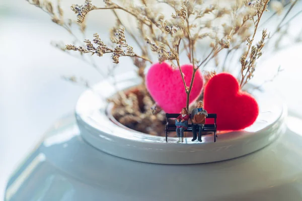 Miniatuur Paar Vergadering Samen Voor Mooie Bloem Achtergrond Met Rood — Stockfoto