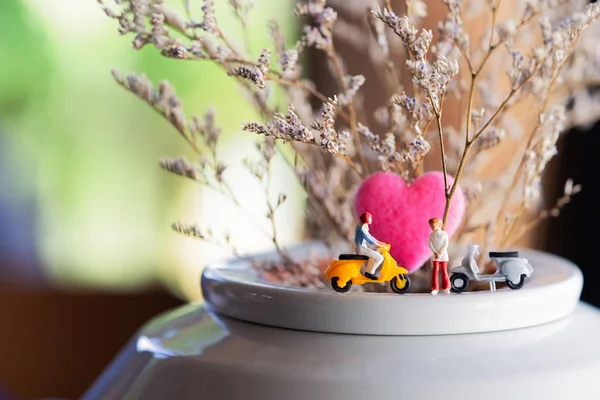 Yolculuk datinf park, sevgilisi kavramı olan minyatür çift