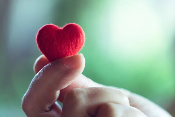 Vrouwelijke Handen Met Een Beetje Rood Hart Valentine Day Concept — Stockfoto