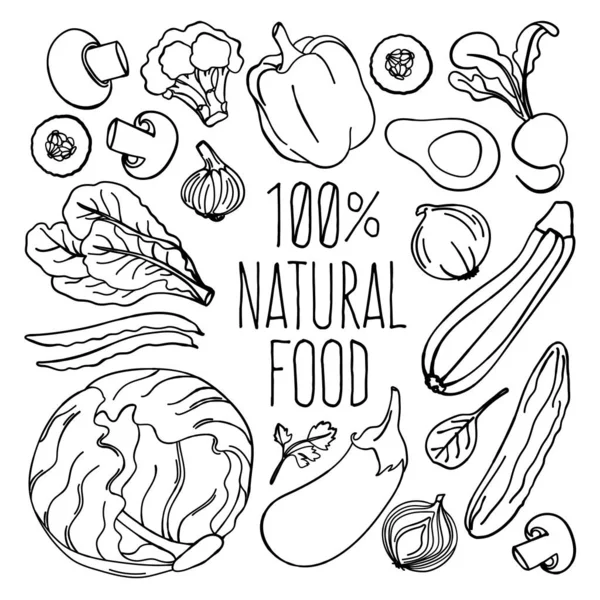 Vegetáveis Monocromo Vegetariano Dieta Adequada Nutrição Vetor Ilustração Set Para —  Vetores de Stock