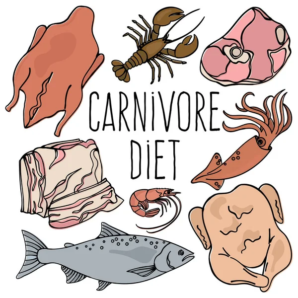 Carnivore Diet Органічне Здорове Харчування Правильне Харчування Розум Їжа Векторні — стоковий вектор