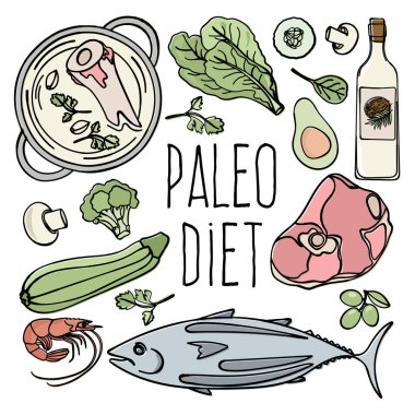 Paleo Menü Sağlıklı Düşük Karbonhidrat Diyet gıda Organik Uygun Beslenme Vektör İllüstrasyon Baskı Kumaş ve Dekorasyon için Set