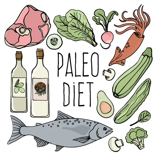 Paleo Potravinářský Nízký Karb Jídelníček Ekologické Správné Nutriční Vektory Ilustrace — Stockový vektor