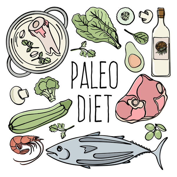 PALEO MENU Healthy Low Carb Diet Food Organic Proper Nutrition Vector Illustration Set for Print Fabric and Decoration