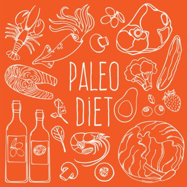 Paleo Malzemeler Sağlıklı Gıda Düşük Karbonhidrat Diyet Uygun Beslenme Vektör İllüstrasyon Baskı Kumaş ve Dekorasyon için Set