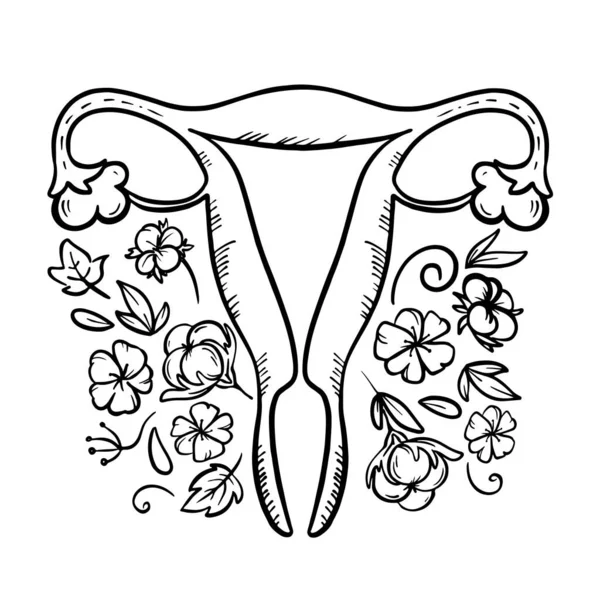 Orgánica Para Salud Feminina Educación Medicina Del Sistema Reproductivo Dibujo — Archivo Imágenes Vectoriales