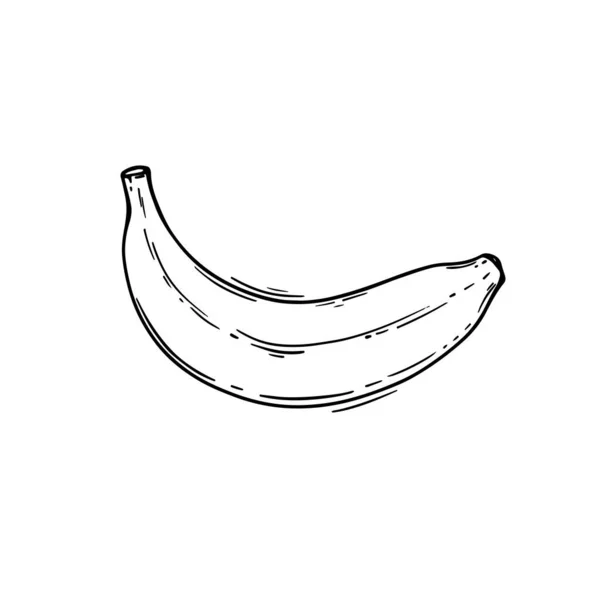 Banana Paleo Keto Vegetarian Diet Botanic Nature Hand Drawn Vector — 스톡 벡터