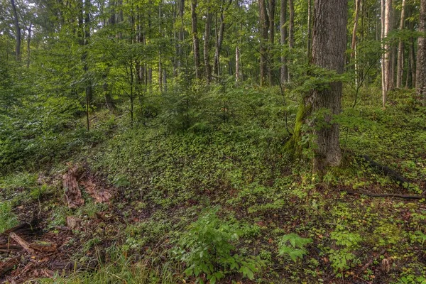 Malované Kameny Národní Lakeshore Horním Michiganu Celou Řadu Atrakcí — Stock fotografie