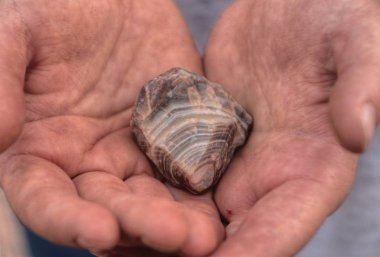 Lake Superior Agate Discovery sonra el tutulan