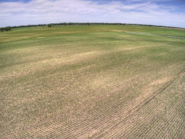 Tarım alanları kırsal Kuzey Dakota, Amerika Birleşik Devletleri