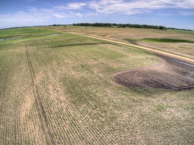 Tarım alanları kırsal Kuzey Dakota, Amerika Birleşik Devletleri