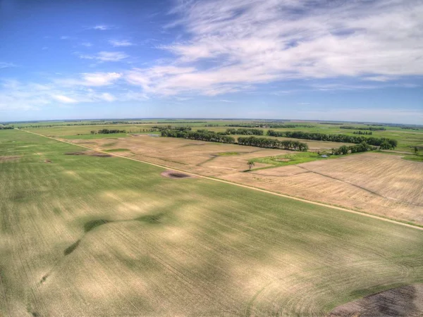 Mezőgazdasági Területek Vidéki Észak Dakota Amerikai Egyesült Államok — Stock Fotó